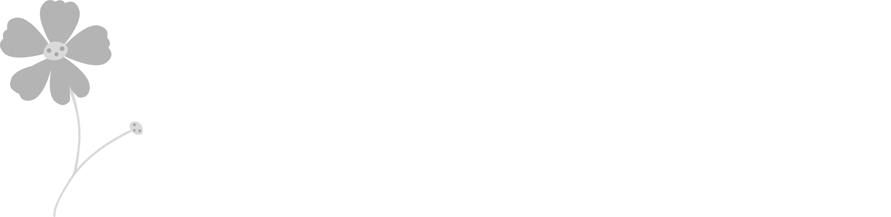 BloeiWijs
